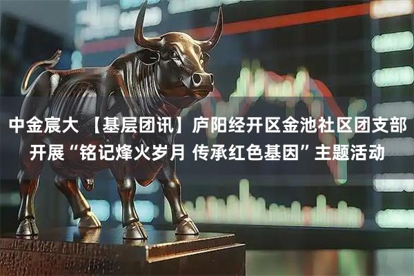 中金宸大 【基层团讯】庐阳经开区金池社区团支部开展“铭记烽火岁月 传承红色基因”主题活动