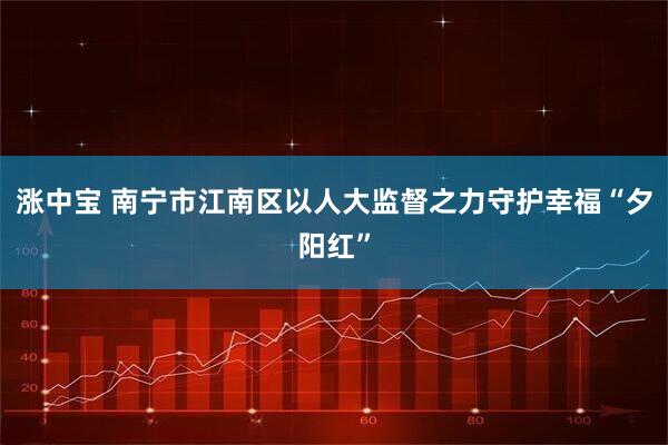 涨中宝 南宁市江南区以人大监督之力守护幸福“夕阳红”